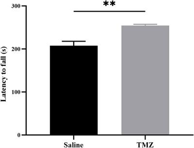 Trimetazidine improves angiogenesis and tissue perfusion in ischemic rat skeletal muscle